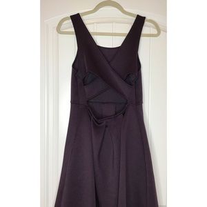 Express Flare Dress